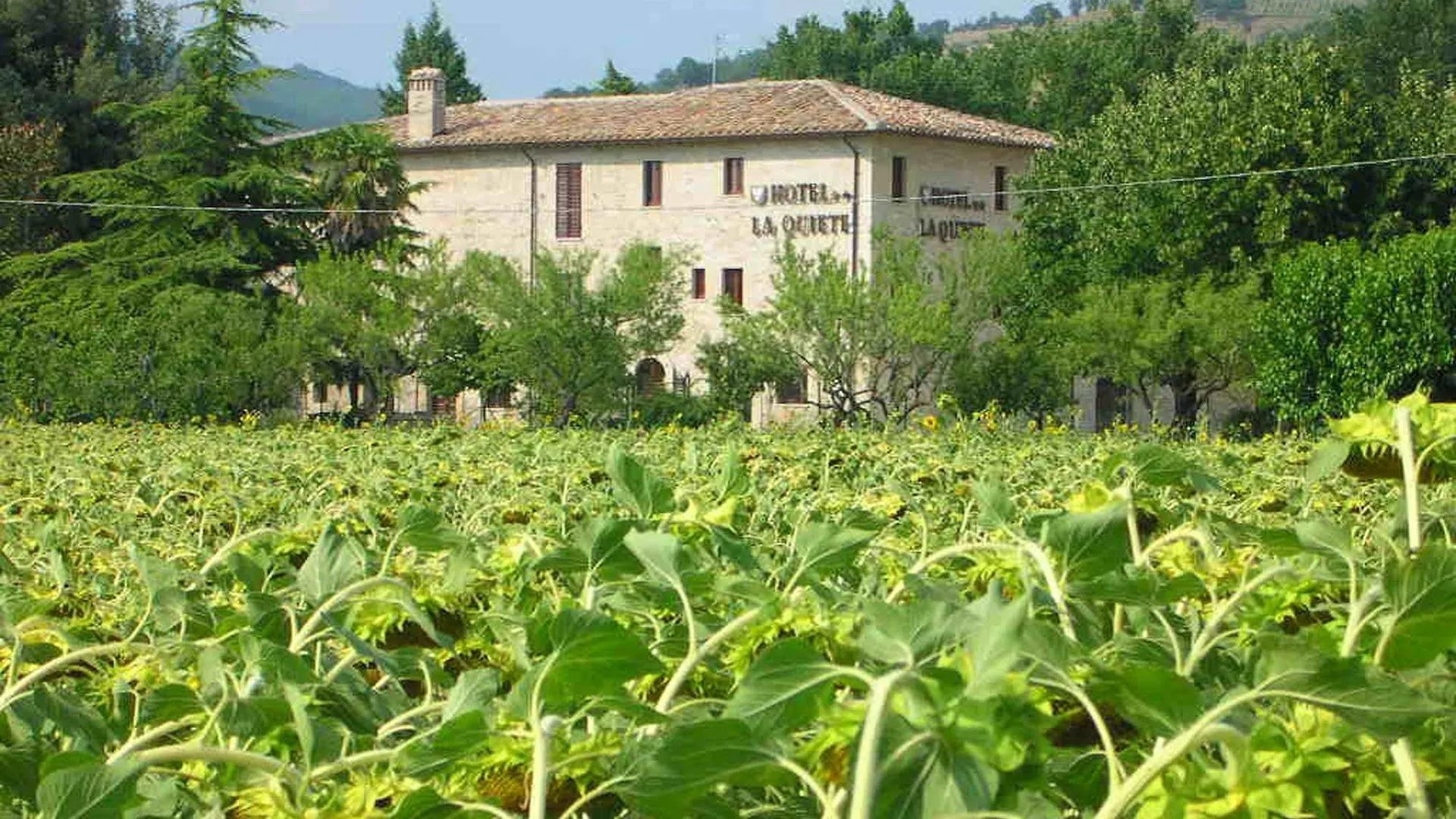 Hotel La Quiete Assisi 2*,