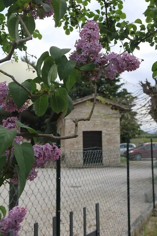 Hotel La Quiete Assisi